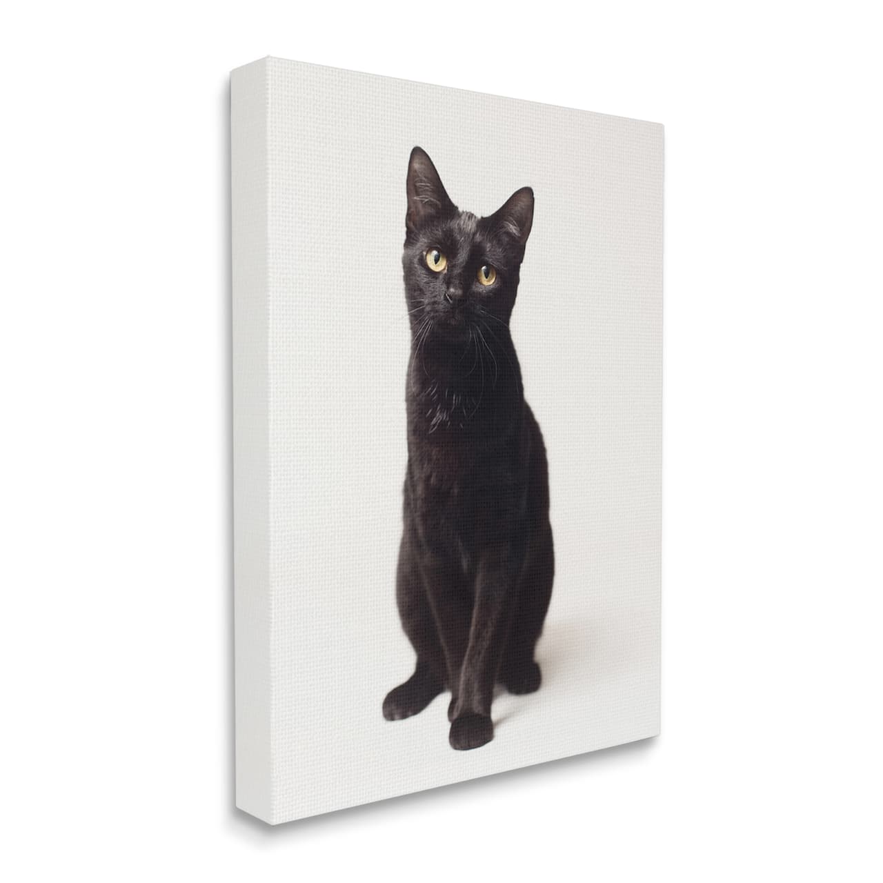 Stupell Industries Cute Black Cat Expressive Eyes Pet Portrait Canvas Wall Art
